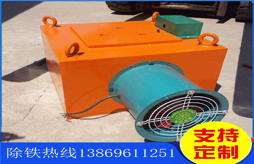 陕西RCDA-12风冷式电磁除铁器生产厂