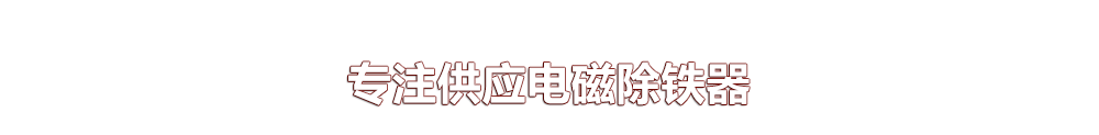 远力磁电专注供应除铁器6年